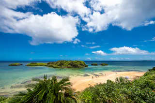 Iriomote Island