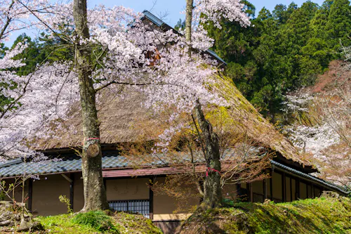 Kakyo Park