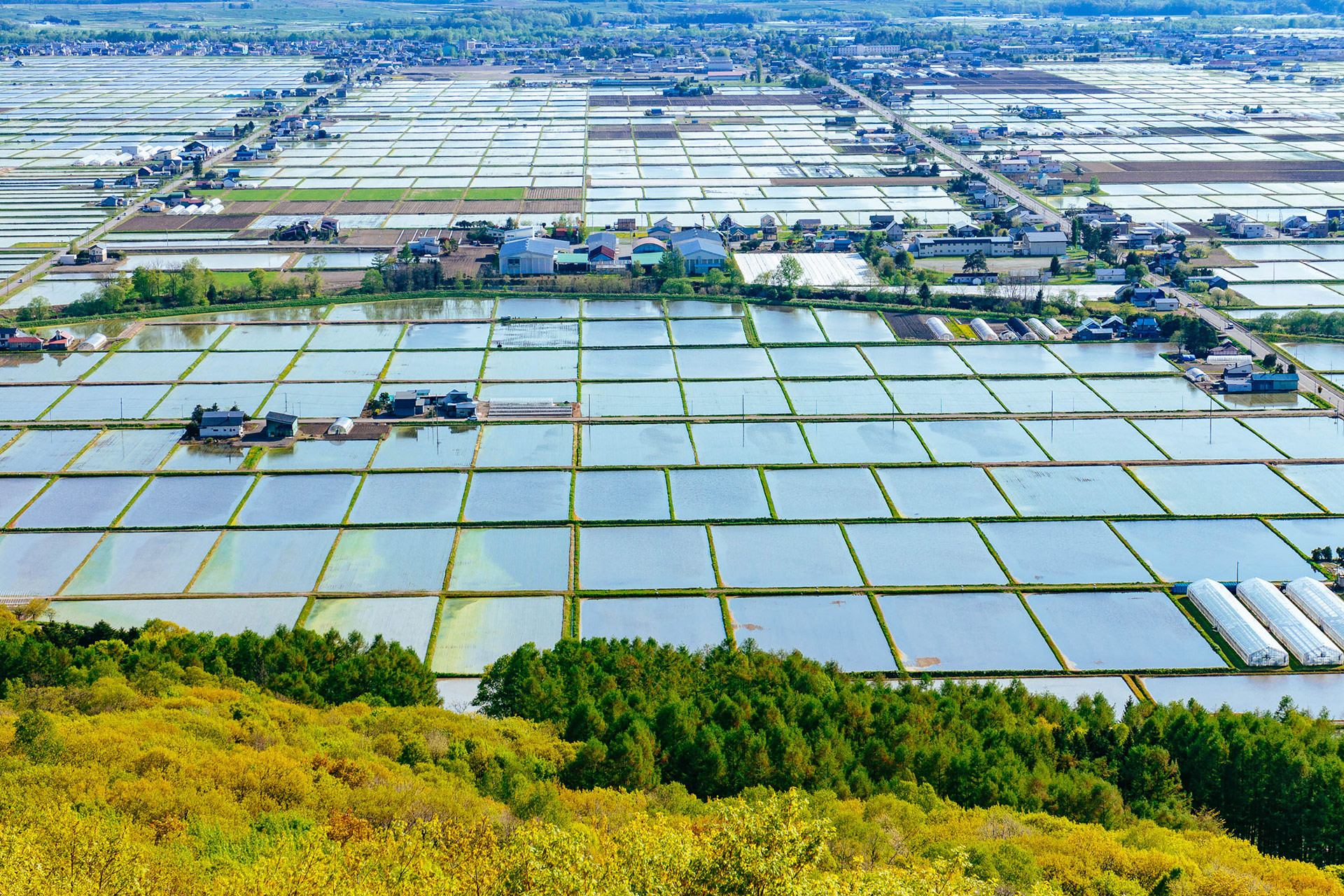 Kitoushi Forest Park Family Travel Village