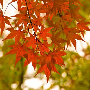 Mitsuike Park Mitsuike Park