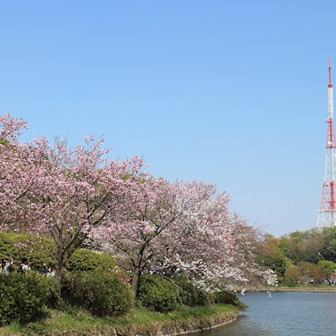 Mitsuike Park Mitsuike Park