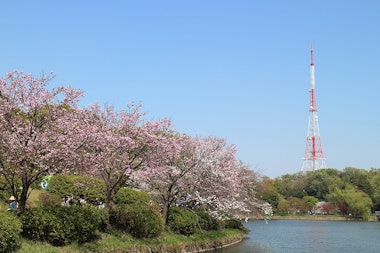 Mitsuike Park