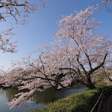 Mitsuike Park Mitsuike Park