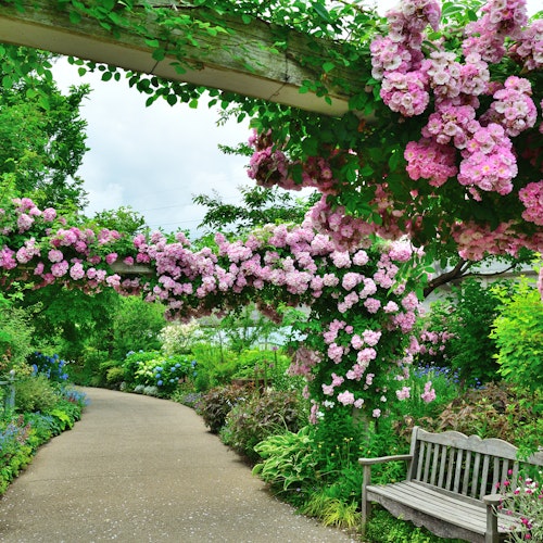 Mitsuke English Garden Mitsuke English Garden