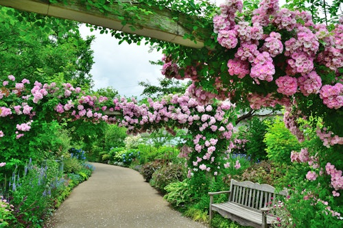 Mitsuke English Garden