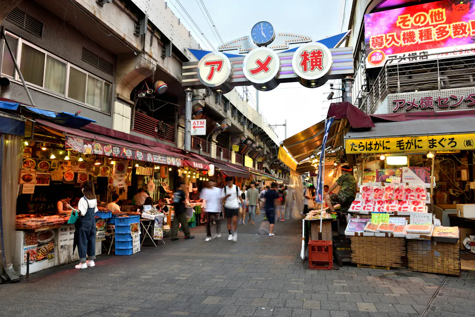 A view under the Ameyoko guardrail lined with small shops A view under the Ameyoko guardrail lined with small shops