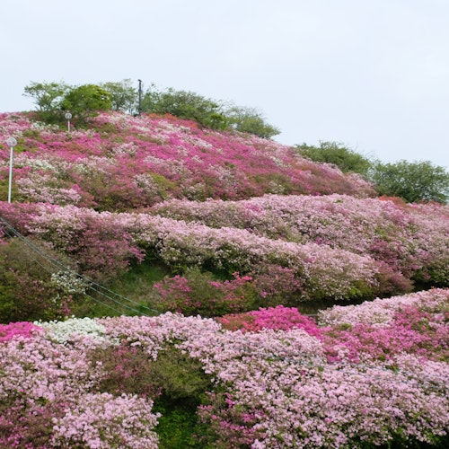 Mt. Tomisu Park Mt. Tomisu Park