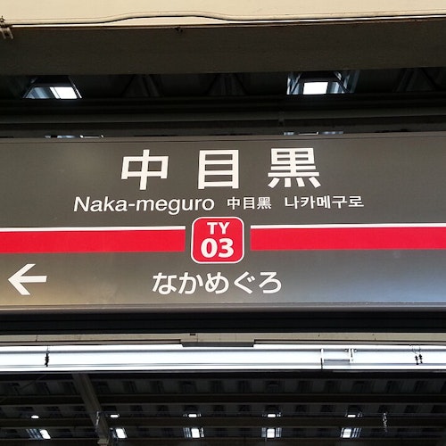 Nakameguro Station Nakameguro Station