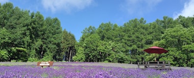 Nanaka Flower Garden