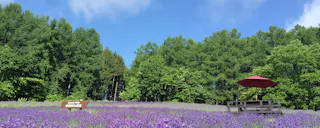 Nanaka Flower Garden