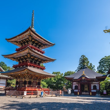 Naritasan Shinshoji Temple Naritasan Shinshoji Temple