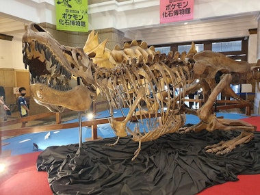 National Museum of Nature and Science