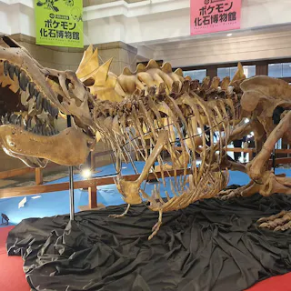 National Museum of Nature and Science National Museum of Nature and Science