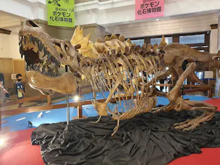 National Museum of Nature and Science