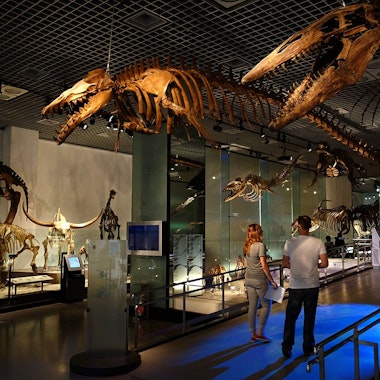 National Museum of Nature and Science National Museum of Nature and Science