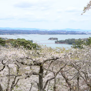 Private Sendai Tour Private Sendai Tour