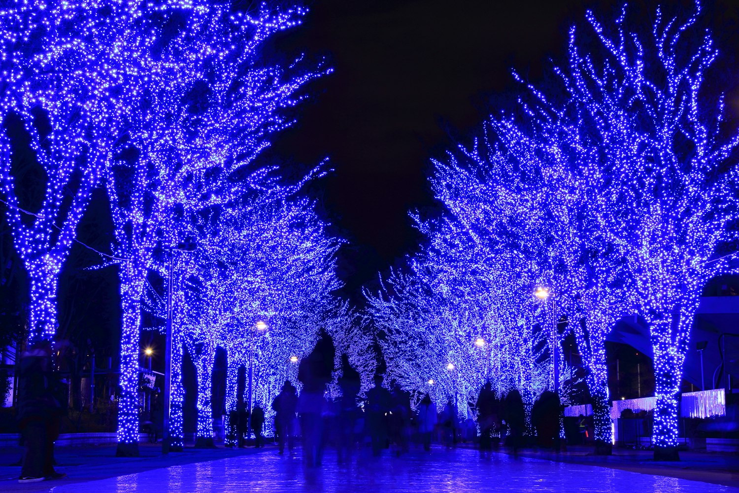 At the blue cave SHIBUYA