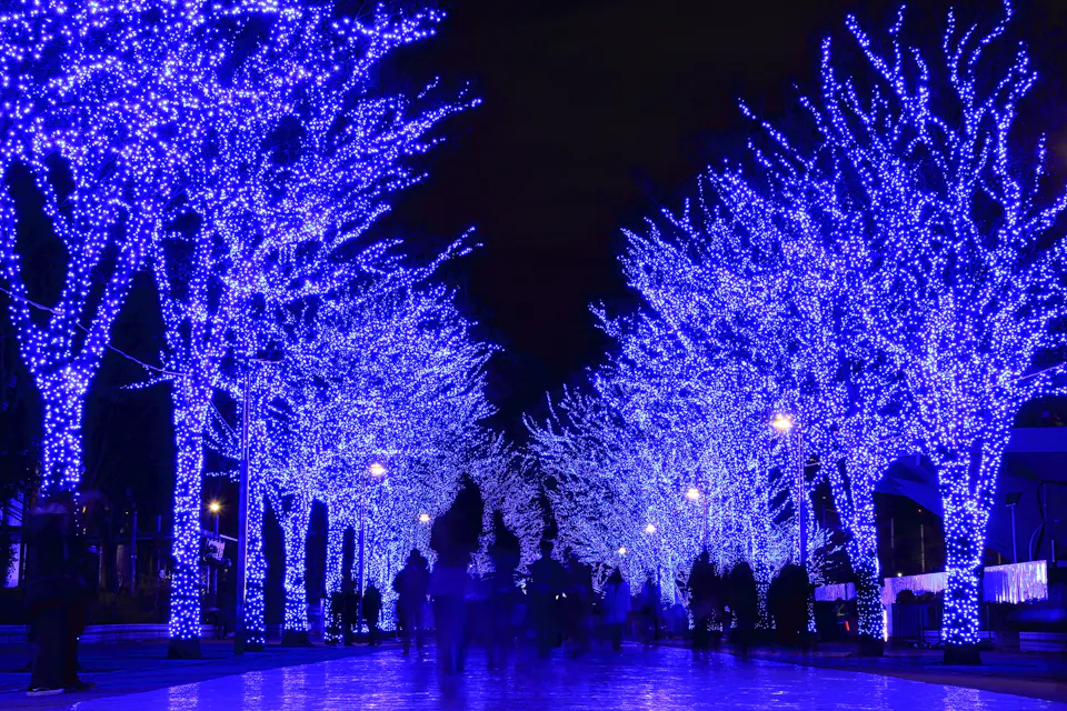 At the blue cave SHIBUYA