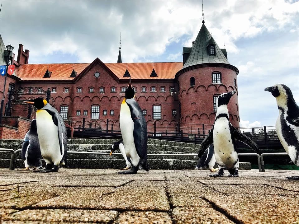 Noboribetsu Marine Park Nixe