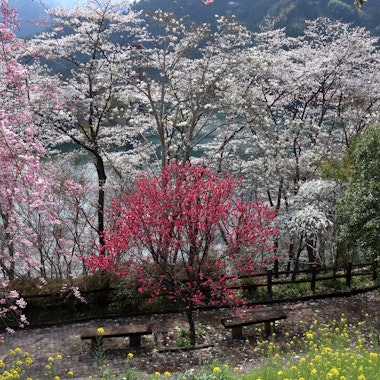 Odo Dam Park Odo Dam Park