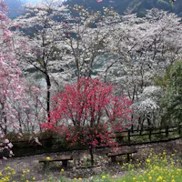 Odo Dam Park Odo Dam Park