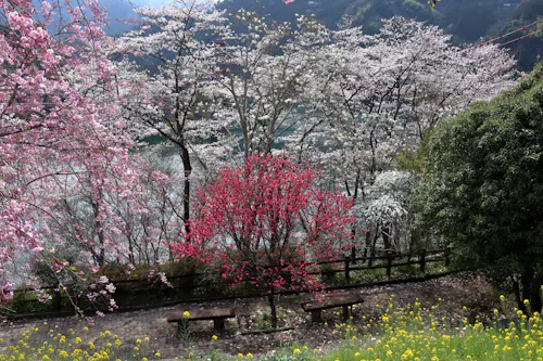 Odo Dam Park