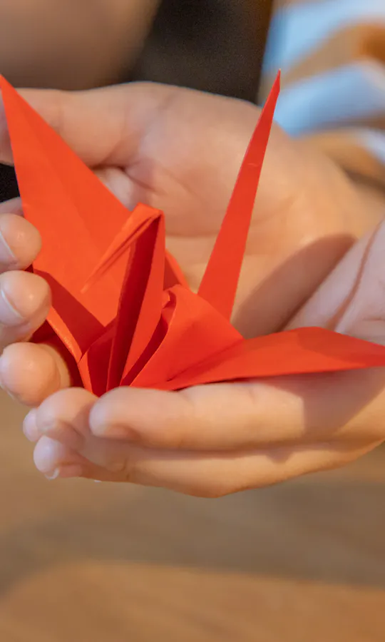 Origami Origami