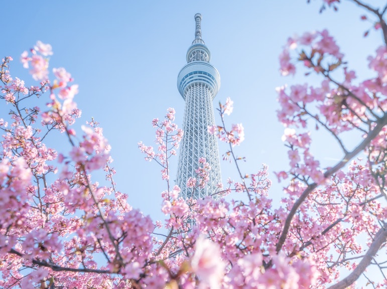 1 Day Private Charter Tokyo Sightseeing Tour