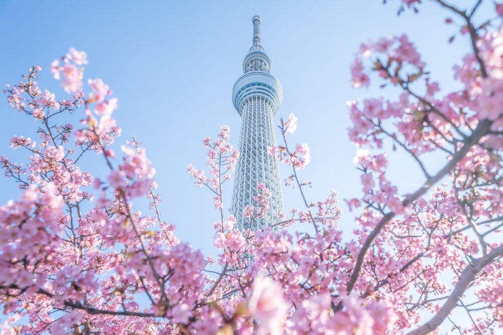 Tokyo Skytree