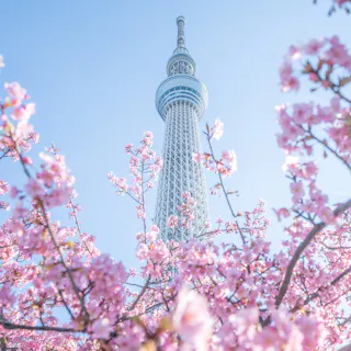 Tokyo Skytree Tokyo Skytree