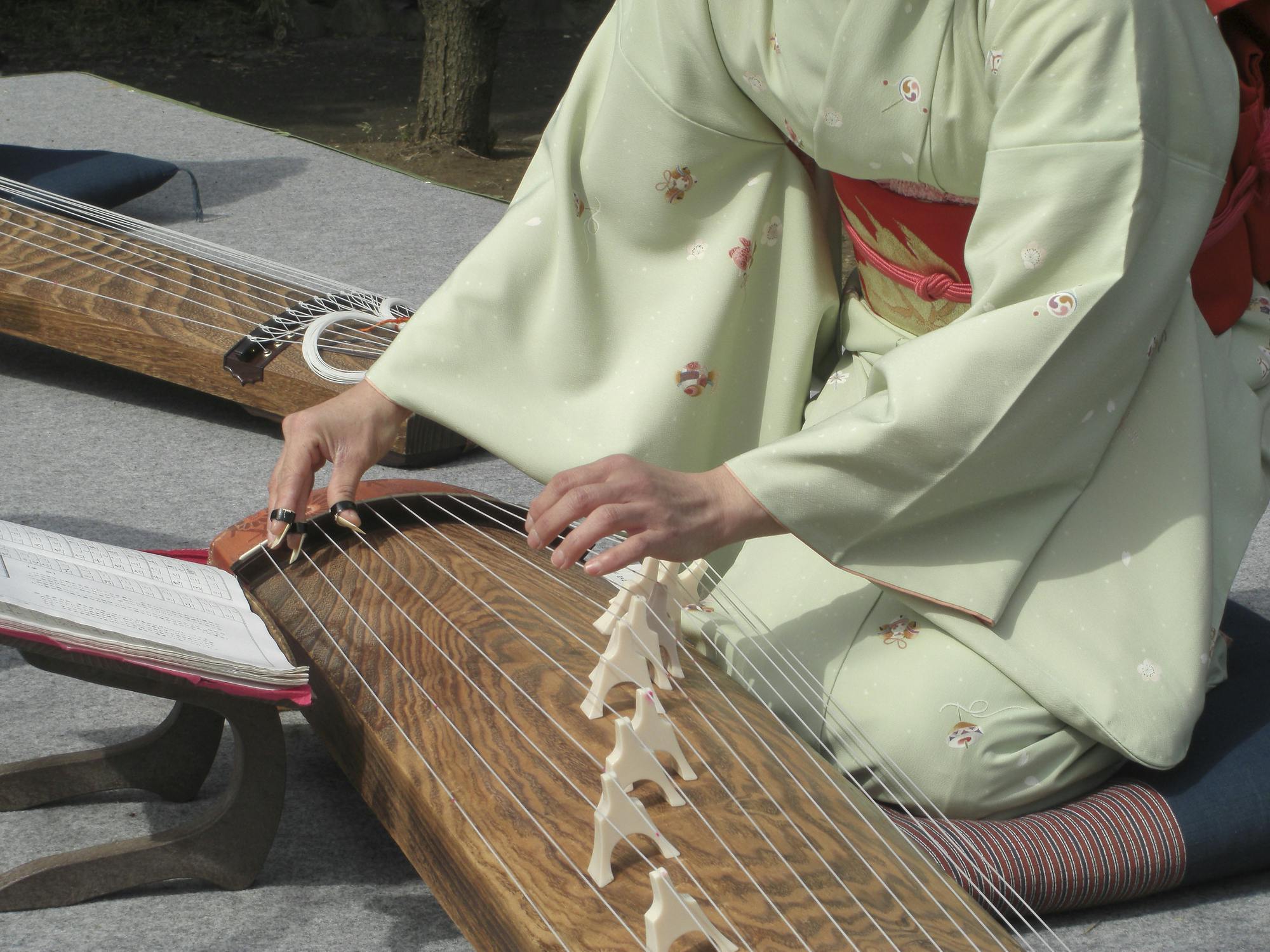 Traditional Concert and Koto Experience in a Private House