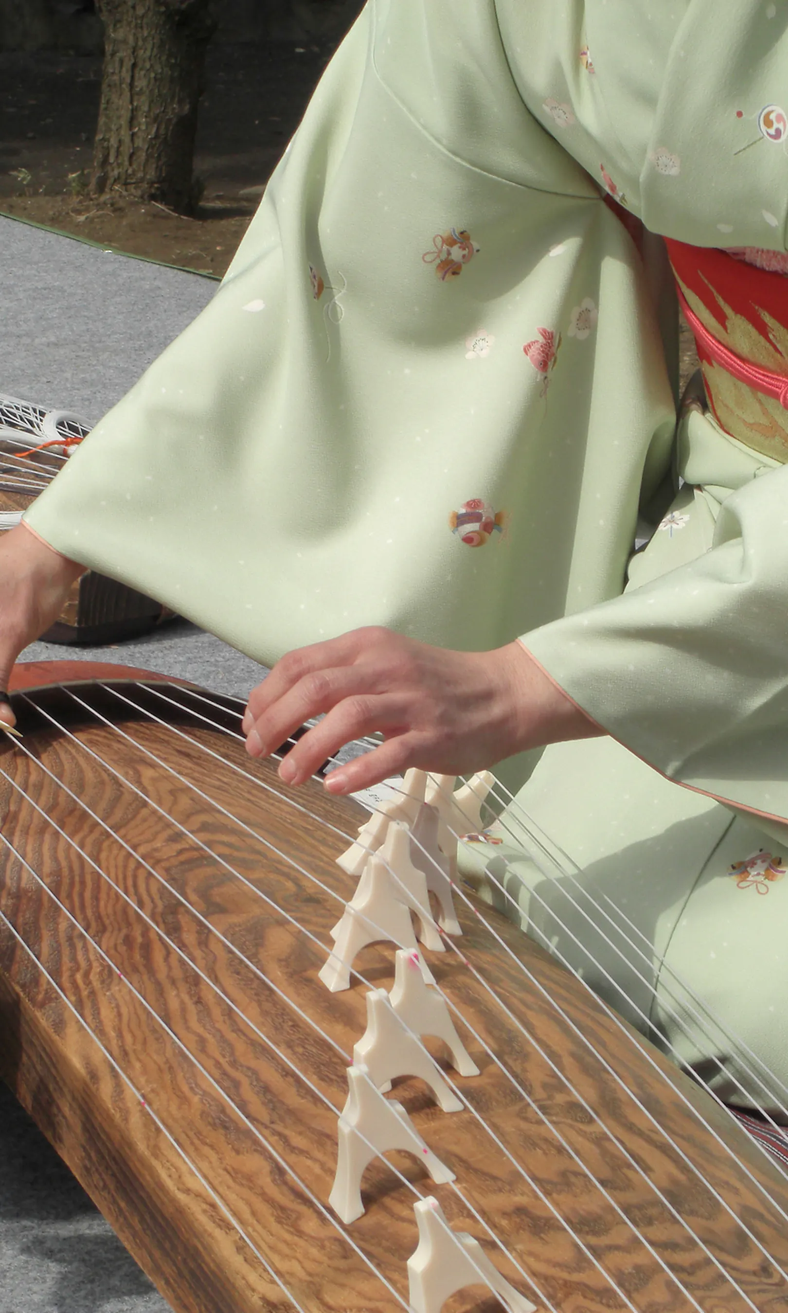Koto Samples Traditional Concert and Koto Experience in a private house - Trip To Japan