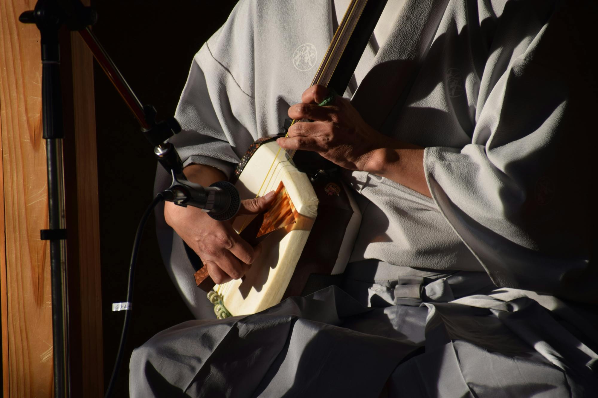 Shamisen