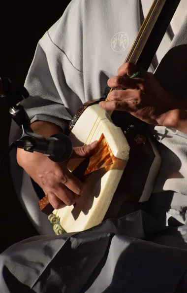 Shamisen Shamisen