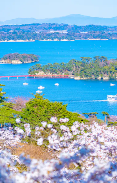Matsushima Bay Cruise Matsushima Bay Cruise
