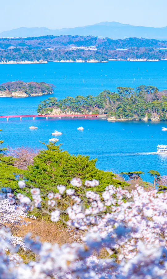 Matsushima Bay Cruise Matsushima Bay Cruise
