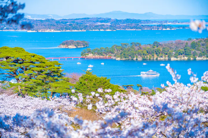 Matsushima Bay Cruise