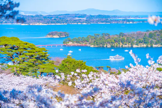 Matsushima Bay Cruise