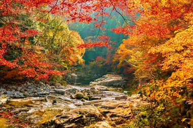 Okutsu Valley (Okutsukei)