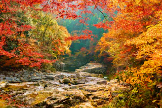 Okutsu Valley (Okutsukei)