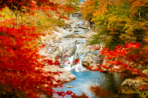 Okutsu Valley (Okutsukei)