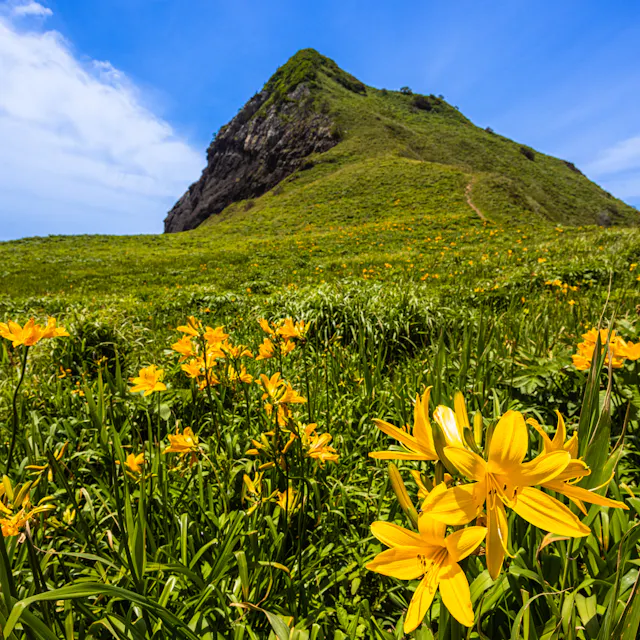 Onogame, Niigata Onogame, Niigata