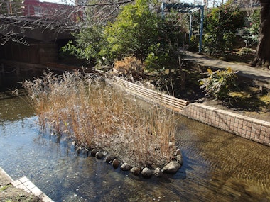 Oyokogawa Water Park