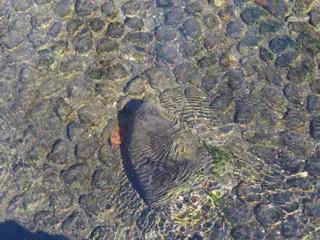 Oyokogawa Water Park