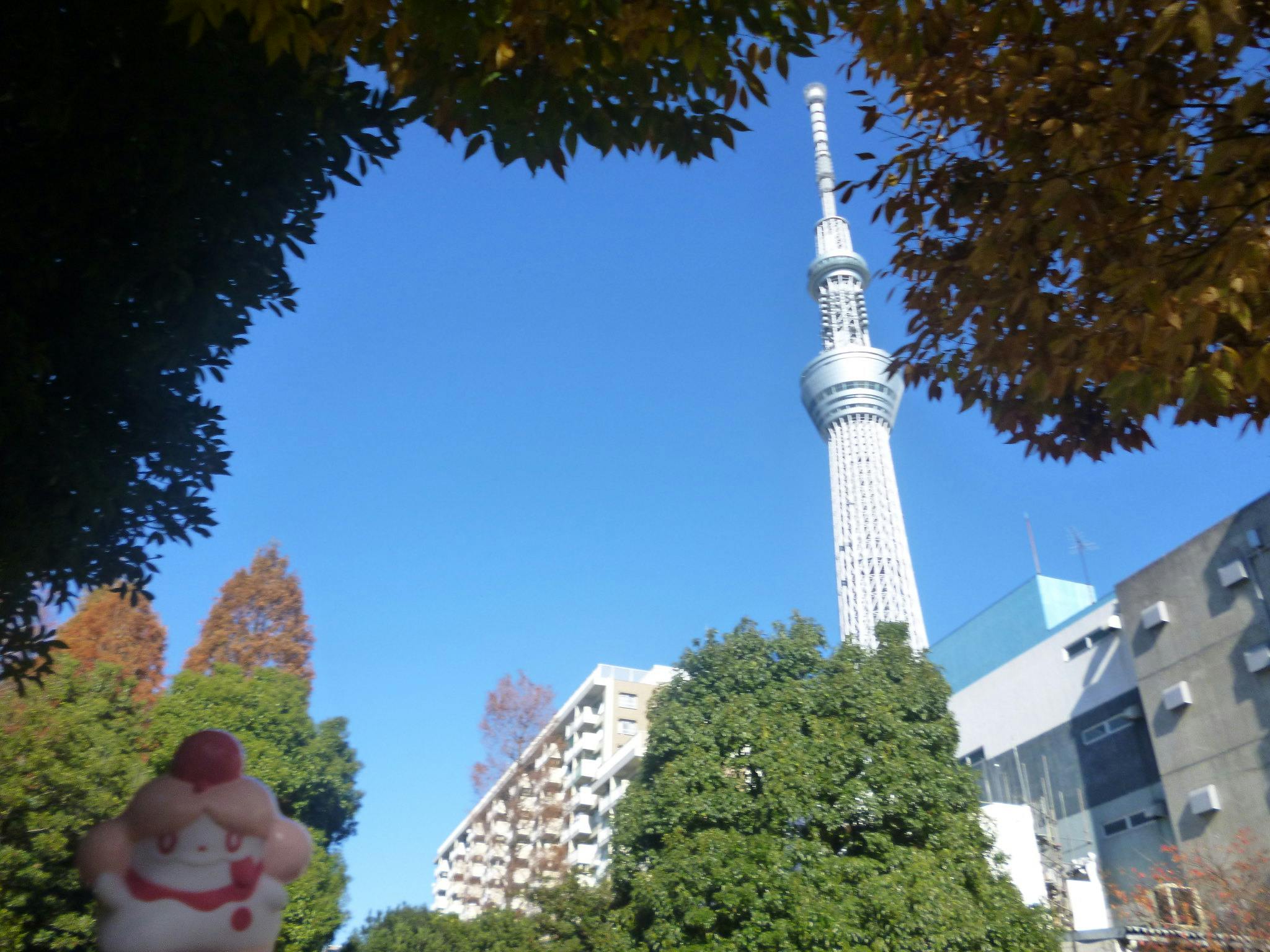 Oyokogawa Water Park