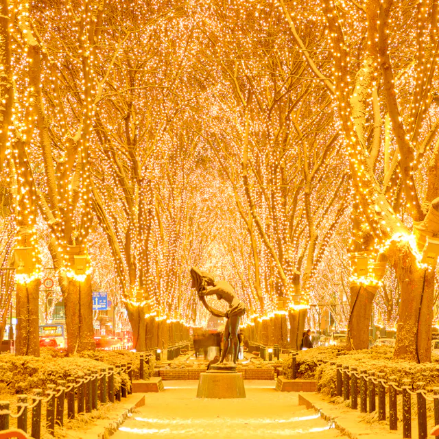 Sendai Pageant of Starlight Sendai Pageant of Starlight