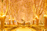 Sendai Pageant of Starlight