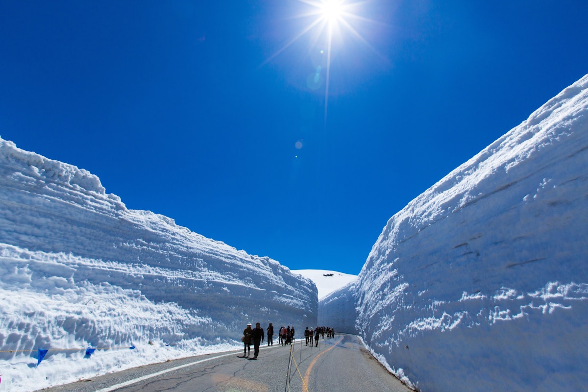 Snow Corridor (Yuki-no-Otani) - Trip To Japan - Trip To Japan