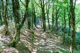 Takashimizu Trail
