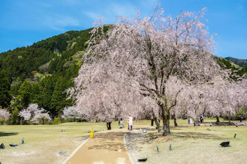 Takekurabe Plaza